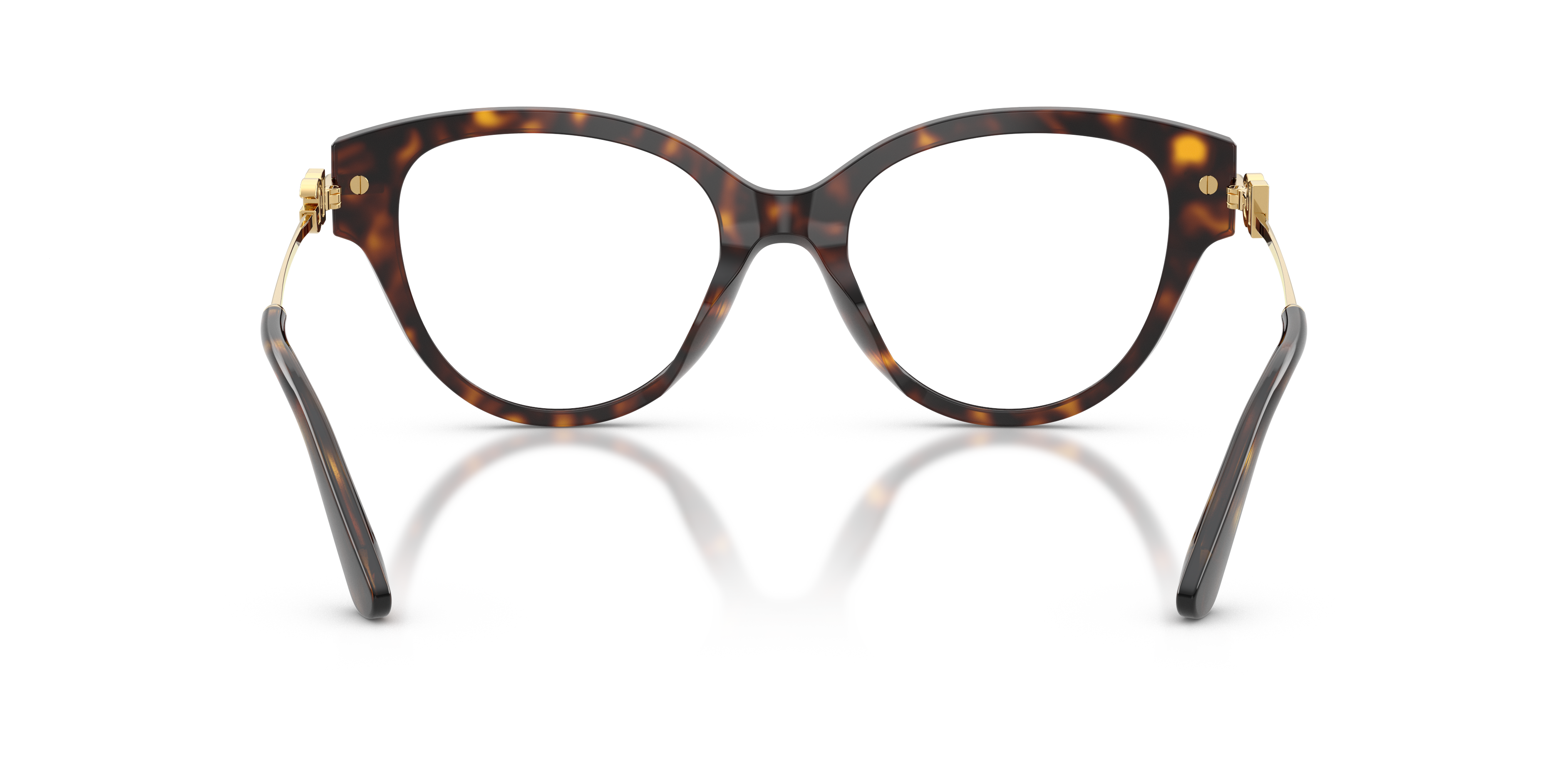 Dolce & Gabbana DG3438 502  